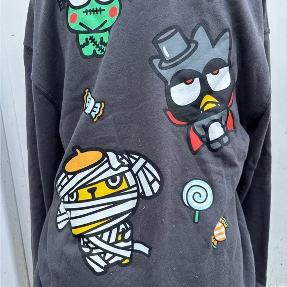 Hello Kitty and Friends Graphic Sweatshirt - Picture 4 of 12